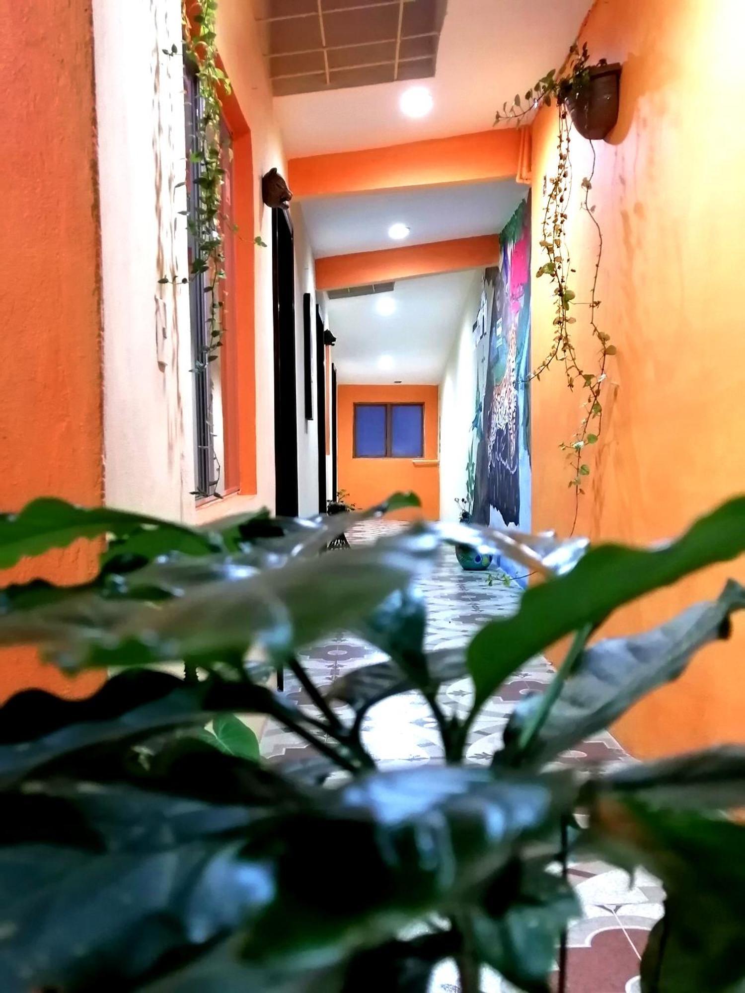 Hotel Amayal San Cristóbal de Las Casas Екстериор снимка