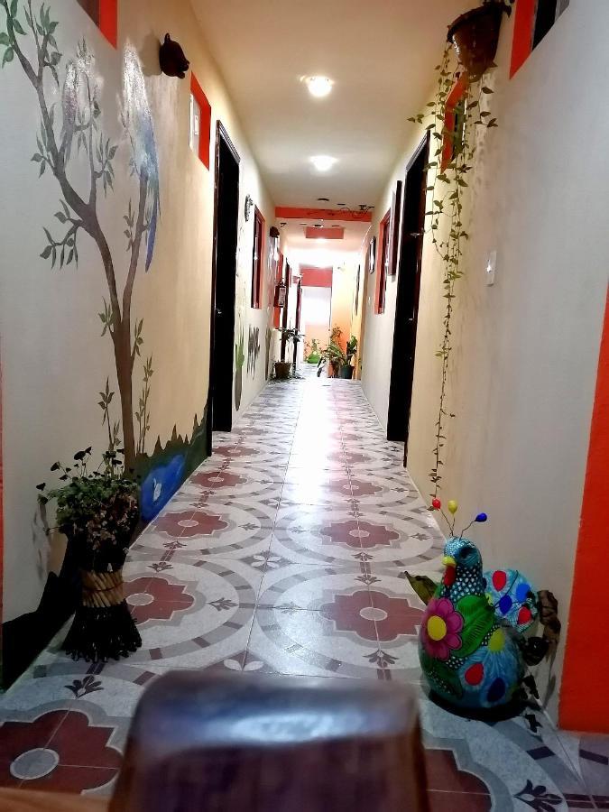 Hotel Amayal San Cristóbal de Las Casas Екстериор снимка