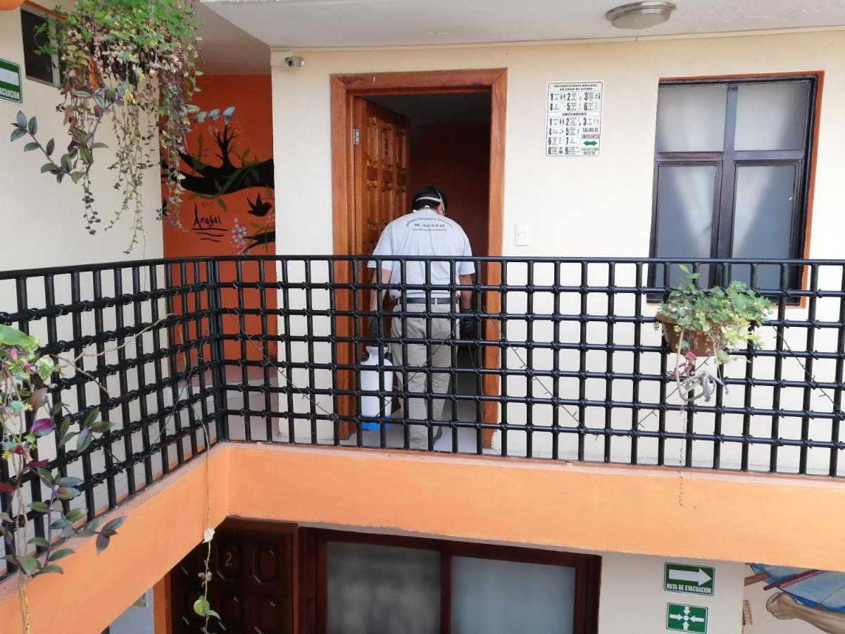 Hotel Amayal San Cristóbal de Las Casas Екстериор снимка
