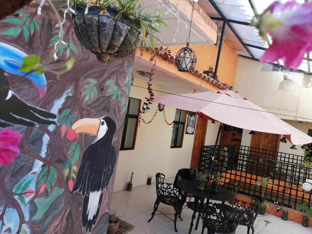Hotel Amayal San Cristóbal de Las Casas Екстериор снимка