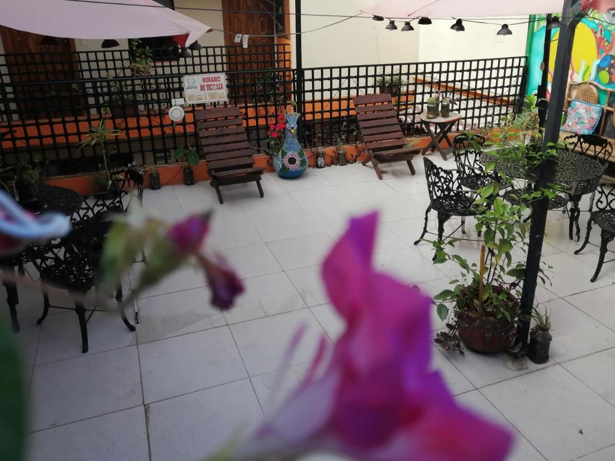 Hotel Amayal San Cristóbal de Las Casas Екстериор снимка