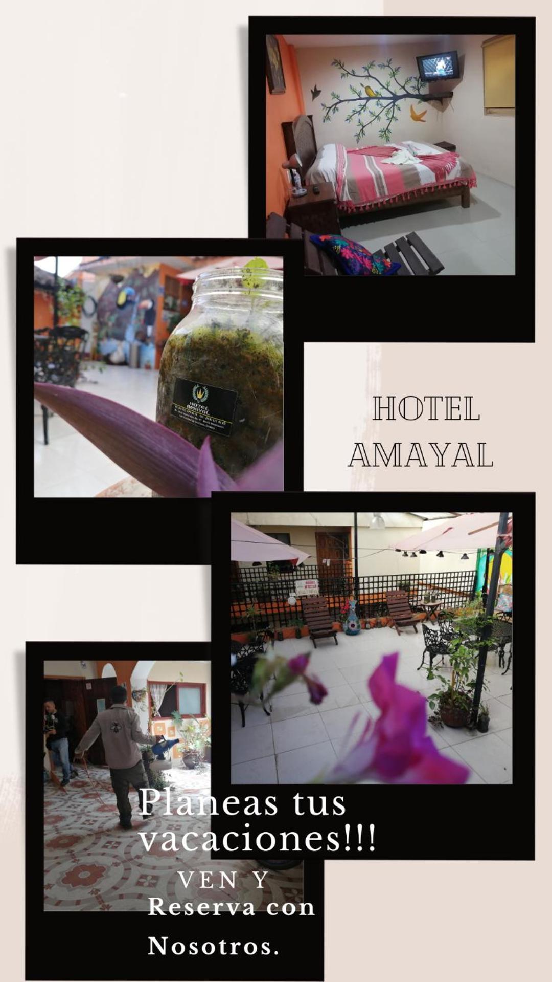 Hotel Amayal San Cristóbal de Las Casas Екстериор снимка